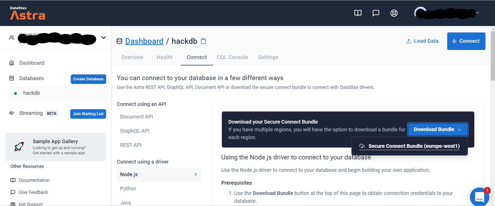 DataStax Astra console - connect